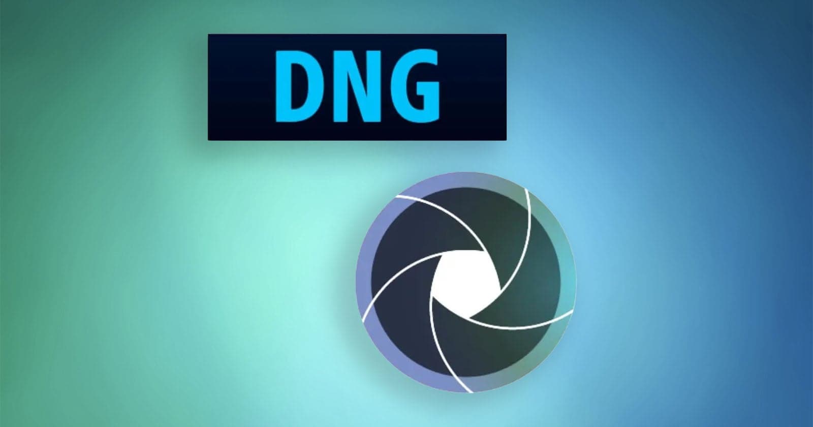 After Over 20 Years of Efforts, DNG Is Now the Official RAW Image Standard