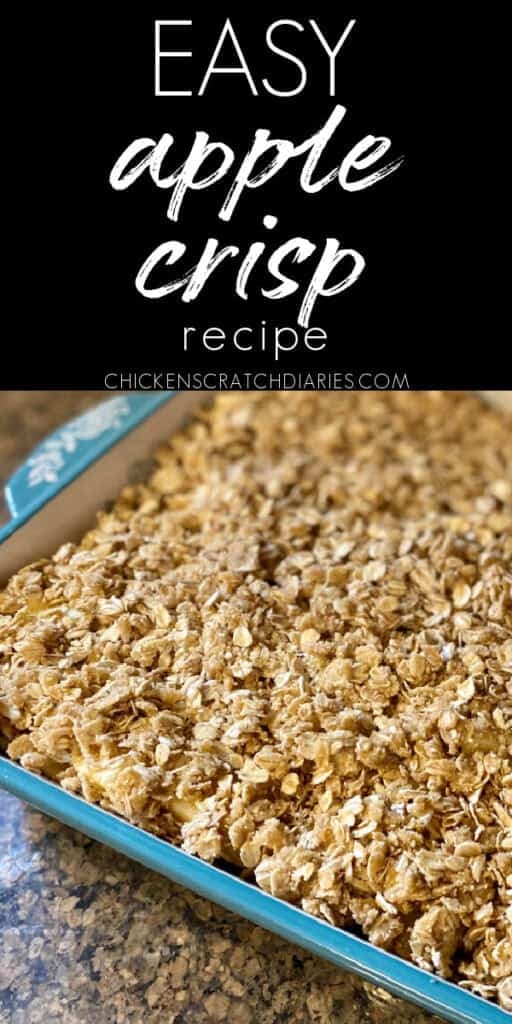 Easy, Delicious Apple Crisp Recipe (for a crowd)