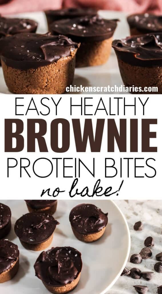 Healthy Brownie Protein Bites (No Bake)